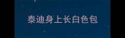 泰迪身上长白色包