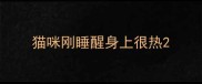 猫咪刚睡醒身上很热