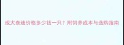 成犬泰迪价格多少钱一只附饲养成本与选购指南