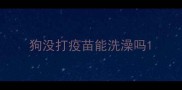 狗没打疫苗能洗澡吗