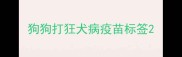 狗狗打狂犬病疫苗标签