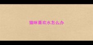 猫咪喜欢水怎么办
