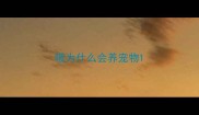 哦为什么会养宠物