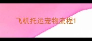飞机托运宠物流程