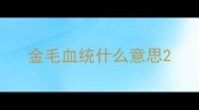 金毛血统什么意思