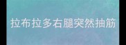 拉布拉多右腿突然抽筋