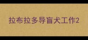 拉布拉多导盲犬工作