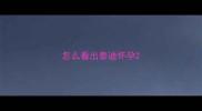怎么看出泰迪怀孕