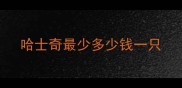 哈士奇最少多少钱一只