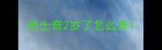 哈士奇2岁了怎么养