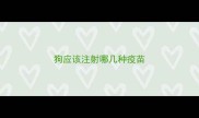 狗应该注射哪几种疫苗
