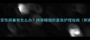 猫咪脊柱受伤拱着背怎么办拱背蜷缩的紧急护理指南附真实案例