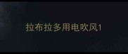拉布拉多用电吹风