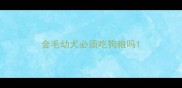 金毛幼犬必须吃狗粮吗
