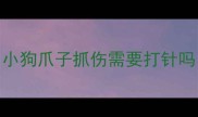小狗爪子抓伤需要打针吗