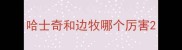 哈士奇和边牧哪个厉害