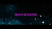 猫咪吃完鸡蛋咳嗽