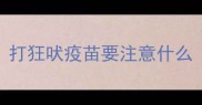 打狂吠疫苗要注意什么