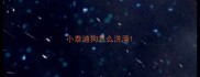 小泰迪狗怎么洗澡