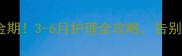 博美犬掉毛黄金期3-6月护理全攻略告别炸毛星人变萌宠
