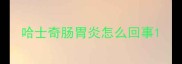 哈士奇肠胃炎怎么回事