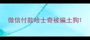 微信付款哈士奇被骗土狗