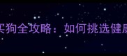 贵阳正规宠物店买狗全攻略如何挑选健康幼犬及避坑指南