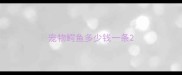 宠物鳄鱼多少钱一条