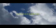 拉布拉多幼犬老是很兴奋