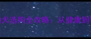 CKU认证拉布拉多幼犬选购全攻略从健康到饲养的保姆级指南