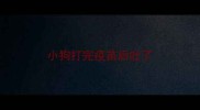 小狗打完疫苗后吐了
