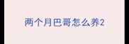 两个月巴哥怎么养