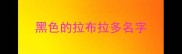 黑色的拉布拉多名字
