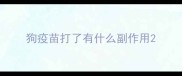 狗疫苗打了有什么副作用