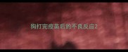 狗打完疫苗后的不良反应