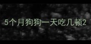 5个月狗狗一天吃几顿