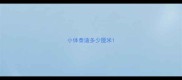 小体泰迪多少厘米