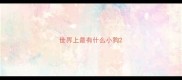 世界上最有什么小狗