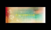 两个月的萨摩耶怎么睡