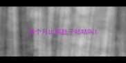俩个月比熊肚子咕咕叫