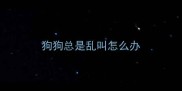 狗狗总是乱叫怎么办
