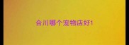 合川哪个宠物店好