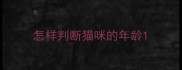 怎样判断猫咪的年龄