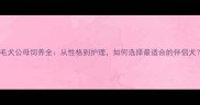 金毛犬公母饲养全从性格到护理如何选择最适合的伴侣犬