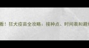 猫咪必看狂犬疫苗全攻略接种点时间表和避坑指南