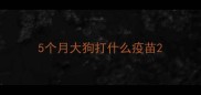 5个月大狗打什么疫苗