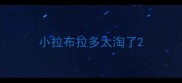 小拉布拉多太淘了