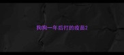 狗狗一年后打的疫苗