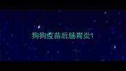 狗狗疫苗后肠胃炎