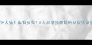 狗狗得狂犬病几率有多高5大科学预防措施及症状识别指南